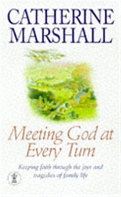 Meeting God at Every Turn (Paperback)