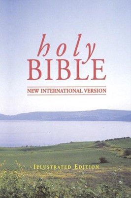 NIV Pocket Bible (Hard Cover)