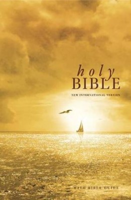 NIV Bible with Guide (Paperback)