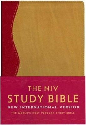 The NIV Study Bible (Paperback)