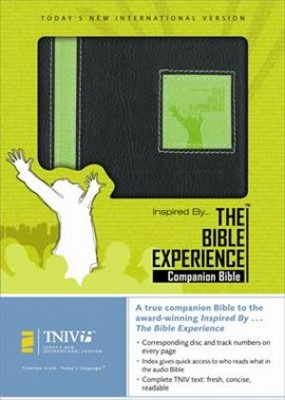 TNIV Bible Experience Companion Bible (Paperback)