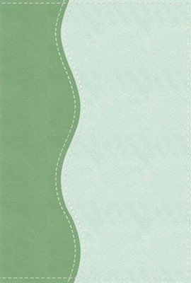 TNIV Personal Bible Soft-Tone Green (Hard Cover)