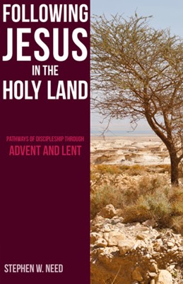 Following Jesus in the Holy Land (Paperback)