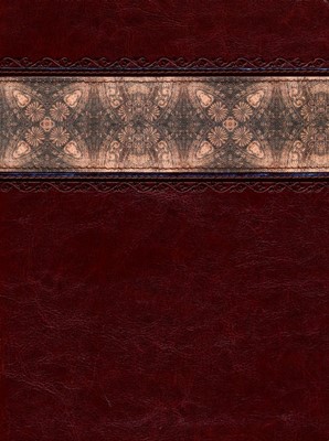 HCSB The Apologetics Study Bible Cinnamon / Brocade (Imitation Leather)