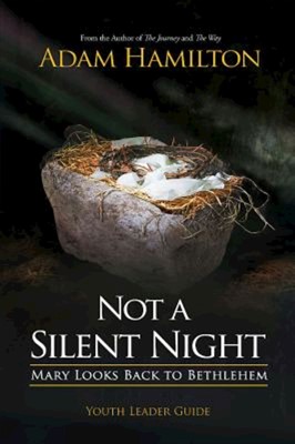 Not a Silent Night Youth Leader Guide (Paperback)