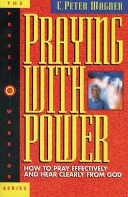 Praying With Power (Paperback)