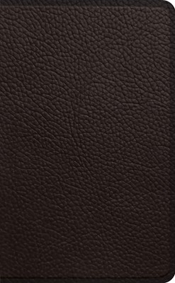 ESV Pocket Bible (Imitation Leather)