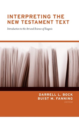Interpreting the New Testament Text (Paperback)
