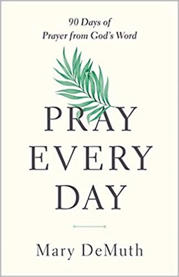 Pray Every Day (Paperback)
