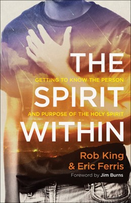 The Spirit Within (Paperback)