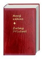 Czech NT Modern Ecumenical Translation (Paperback)
