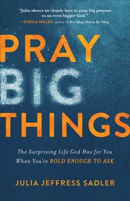 Pray Big Things (Paperback)