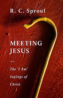 Meeting Jesus (Paperback)