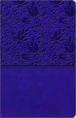KJV Ultrathin Reference Bible, Purple LeatherTouch (Imitation Leather)
