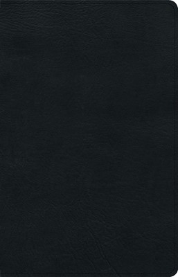 KJV Ultrathin Reference Bible, Black LeatherTouch (Imitation Leather)