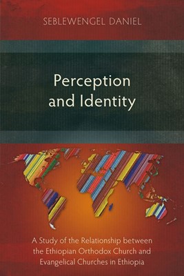 Perception and Identity (Paperback)