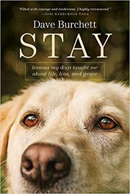 Stay (Paperback)