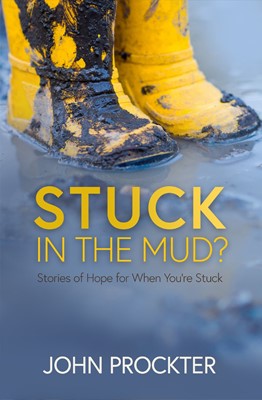 Stuck in the Mud (Paperback)