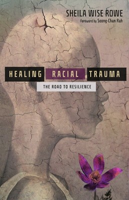 Healing Racial Trauma (Paperback)