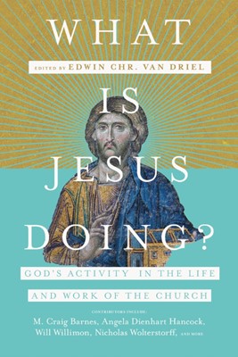 What is Jesus Doing? (Paperback)