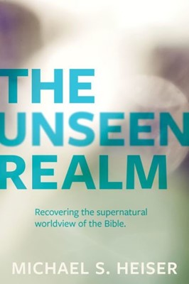 The Unseen Realm (Paperback)