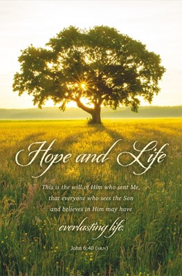 Hope and Life Funeral Bulletin (pack of 100) (Bulletin)