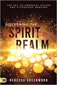 Discerning the Spirit Realm (Paperback)