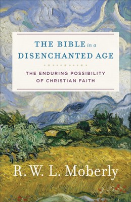 The Bible in a Disenchanted Age (Paperback)