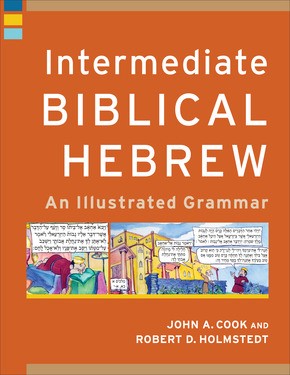 Intermediate Biblical Hebrew (Paperback)