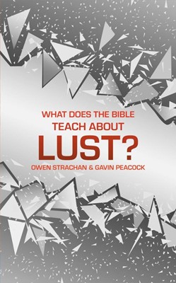 What Does the Bible Teach about Lust? (Hard Cover)