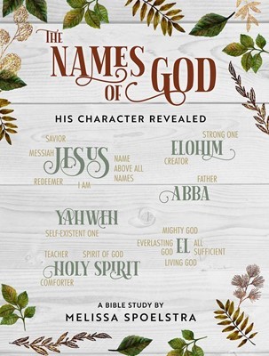 The Names of God Participant Workbook (Paperback)