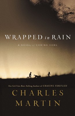 Wrapped in Rain (Paperback)