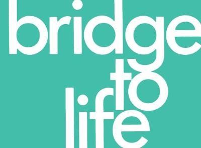 Bridge to Life Tracts (pack of 25) (Paperback)