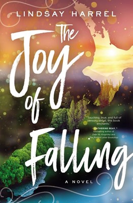 The Joy of Falling (Paperback)