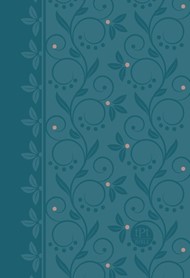 Passion Translation NT 2020 Edition, Teal, Compact