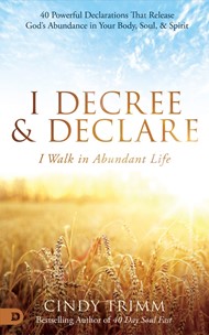 I Decree and Declare: I Walk in Abundant Life