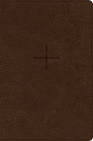 CSB Every Day with Jesus Daily Bible, Brown