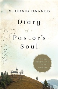 Diary of a Pastor's Soul