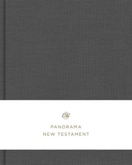 ESV Panorama New Testament, Gray Cloth over Board