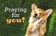Praying for you! Postcard (pack of 25)