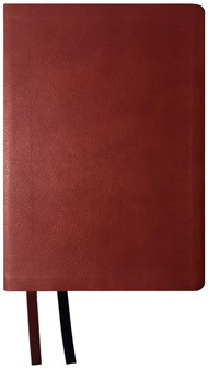NASB 2020 Giant Print Text Bible, Maroon