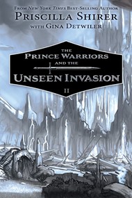 The Prince Warriors and the Unseen Realm