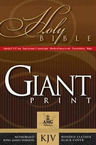 Giant Print Handy-Size Reference Bible