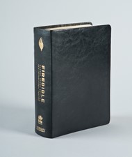 NIV Fire Bible Global Study Edition