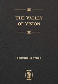 The Valley of Vision Genuine Leather