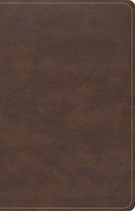 CSB Single-Column Compact Bible, Brown