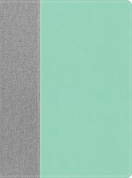 Lifeway Women's Bible, Gray/Mint LeatherTouch, Indexed