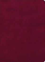 CSB Holy Land Illustrated Bible, Burgundy LeatherTouch