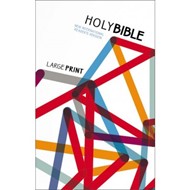 NIrV Outreach Large Print Bible For Kids