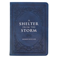 Shelter from the Storm, A